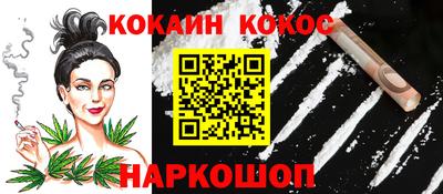 индика Камышлов