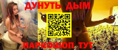 индика Камышлов