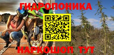 индика Камышлов