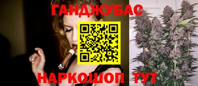 индика Камышлов