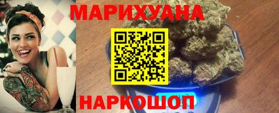 индика Камышлов