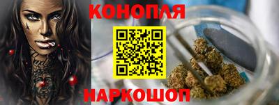 индика Камышлов