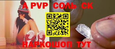 индика Камышлов