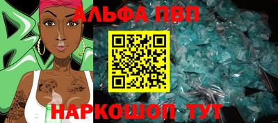 индика Камышлов