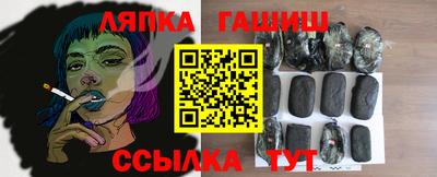 индика Камышлов