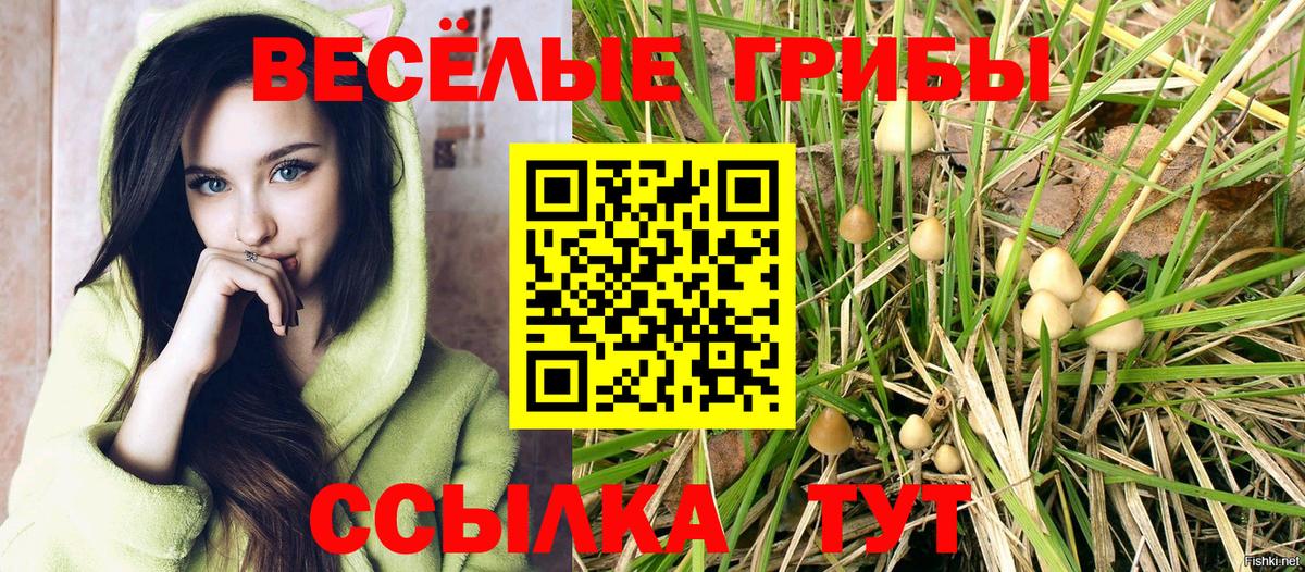 Псилоцибиновые грибы Psilocybine cubensis  Вход с VPN  Клин 